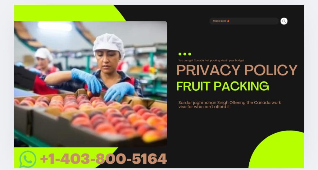 Privacy Policy Privacy Policy